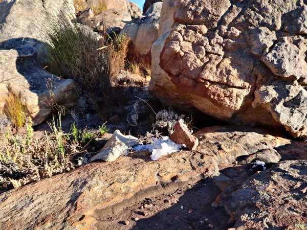 used toilet paper in the Cederberg Wilderness Area