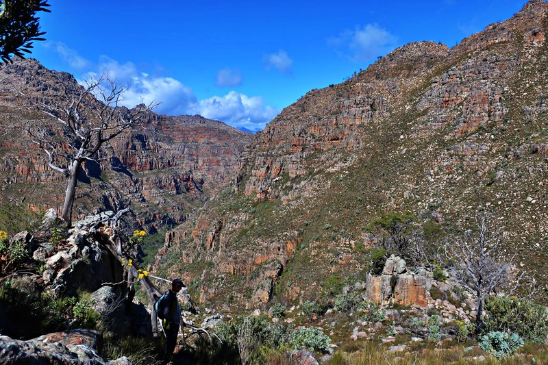 on trail in the Cederberg head to Sneukop