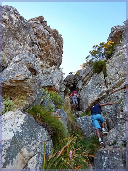 Hikers climbing a section of India Venster