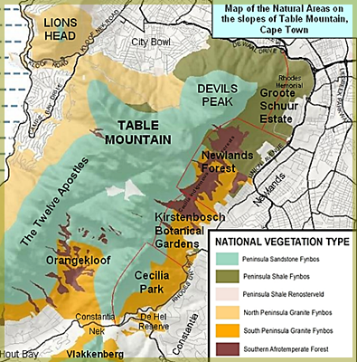 map of vegetation types Table Mountain sourced from Wikipedia