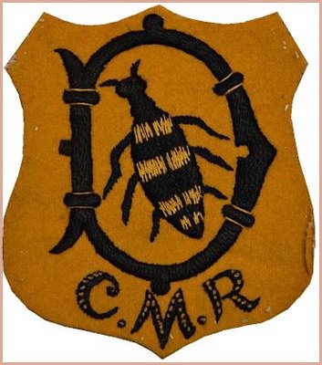badge of Cape Mounted Rifles which has a blister beetle or CMR beetle