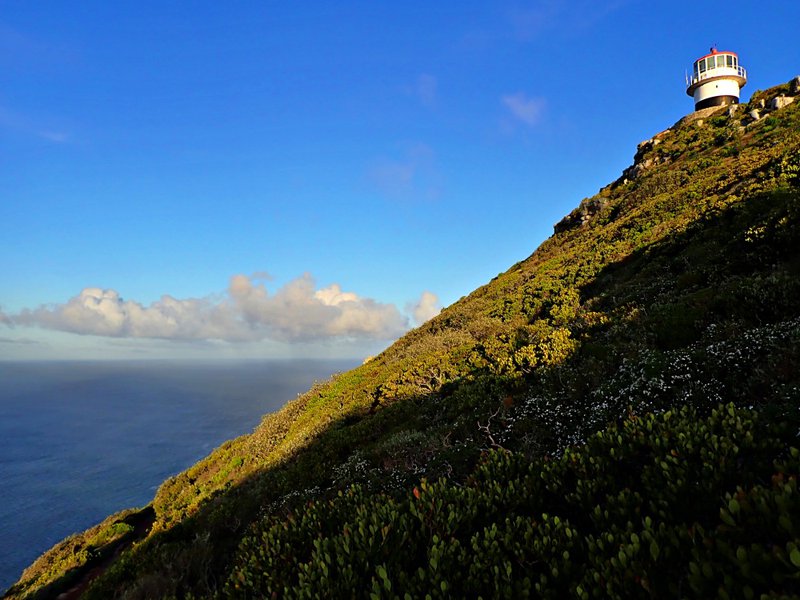 Cape Point Nature Reserve