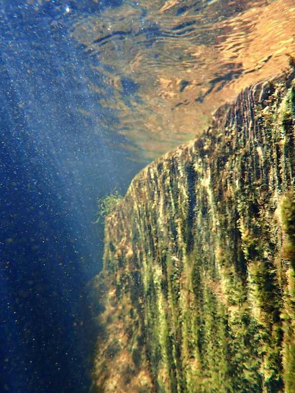 cederberg submerged