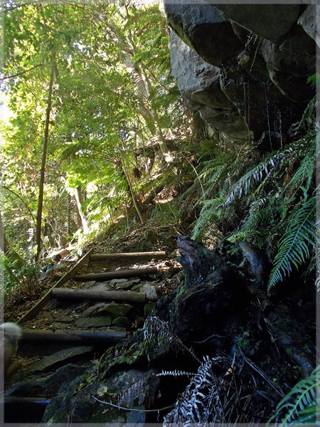 Cecilia Ravine Hike Table Mountain