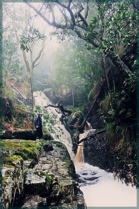 Disa Gorge Table Mountain