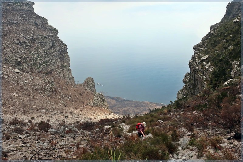 Hiking up Corridor Ravine on Table Mountain three weeks after October's fire