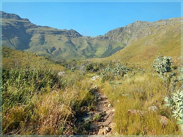 Hiking Jonkershoek