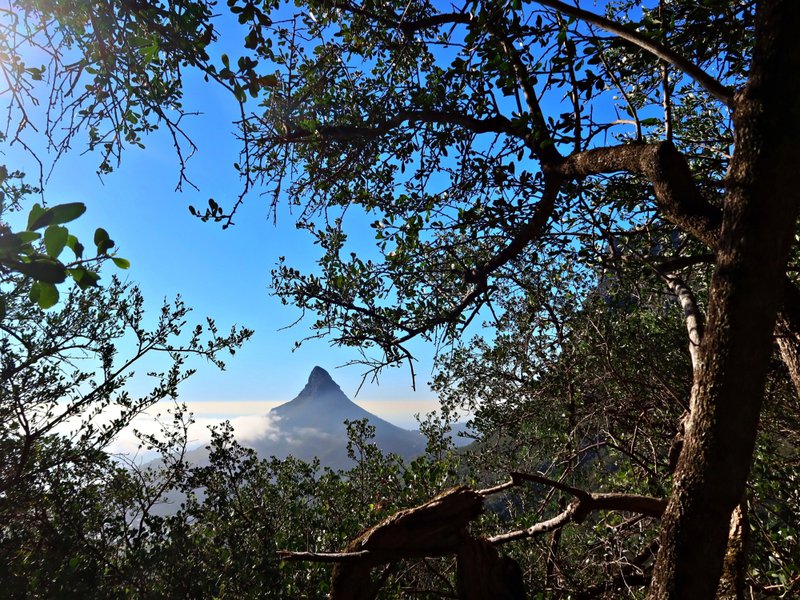 view from 12 Apostles, Table Mountain, Cape Town