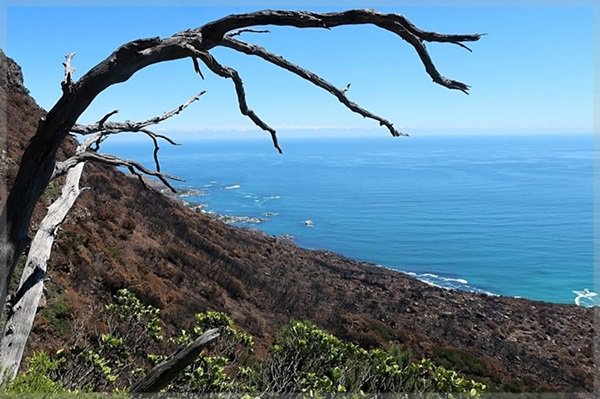 Fire damage on Table Mountain's Twelve Apostle's hiking route