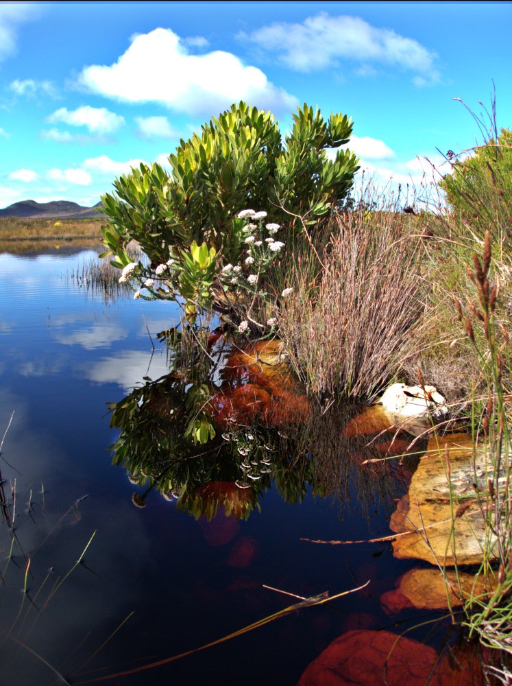 Cape Point Nature Reserve