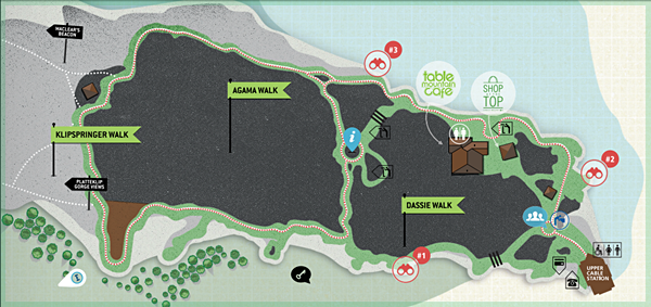 map of wheelchair routes on Table Mountain