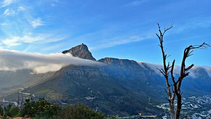 Twelve Apostles view from Lions Head