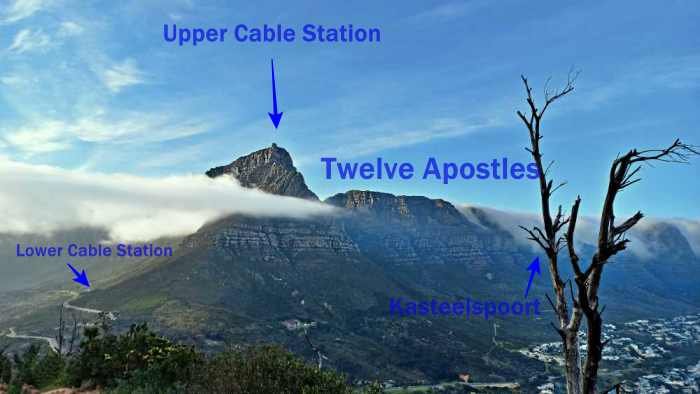 Twelve Apostles view from Lions Head
