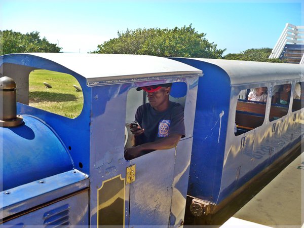 Blue Train on the Promenade Mouille Point Cape Town