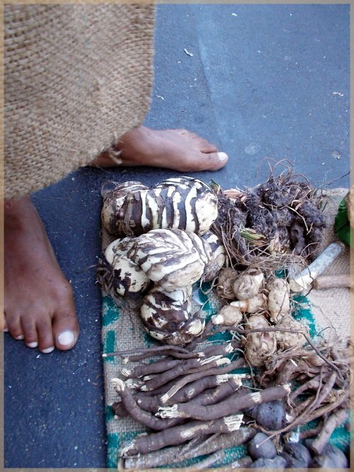 details of feet and plants of male herb-seller stands in sackcloth in Cape Town
