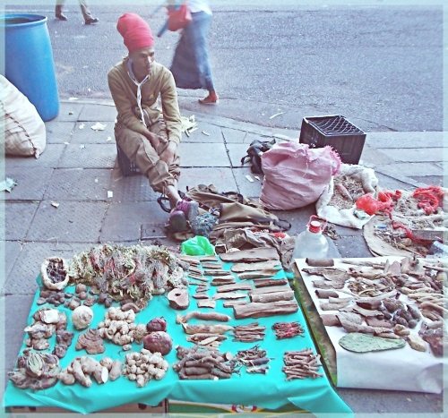 medicinal herb seller sits in a Cape Town street