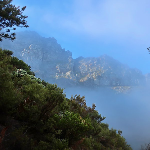 twelve apostles bathed in mist