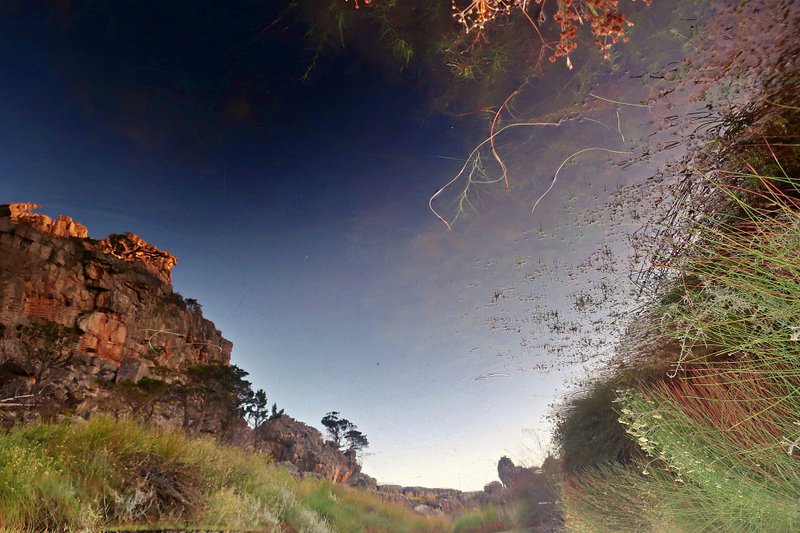 cederberg reflection