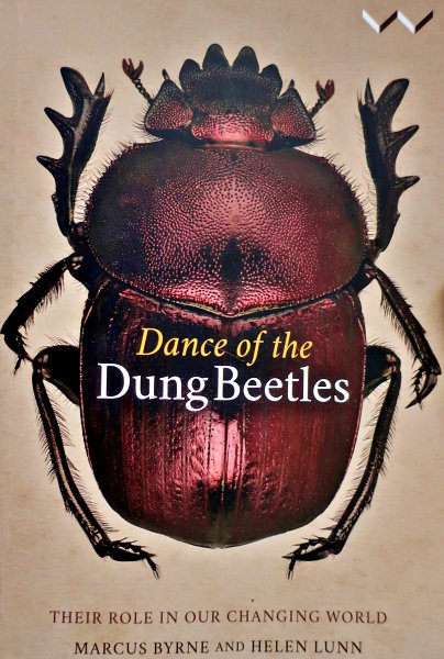 review of dance_of_dung-beetles