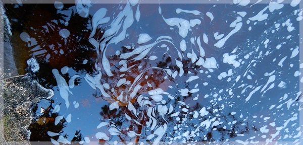 flecks of foam pattern Table Mountain stream water with fynbos reflection