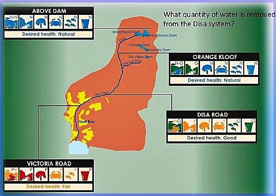 Map showing tributaries of Table Mountain&#x27;s Disa Stream