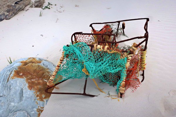 fishing traps at Cape of Good Hope Nature Reserve