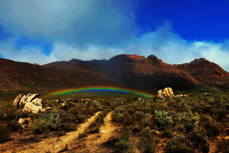 cederberg rainbow