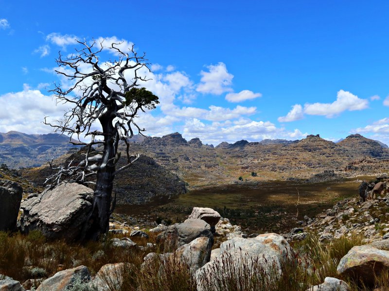 Cederberg Wilderness Area