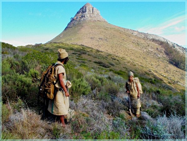 Herbalists harvesting on Signal Hill