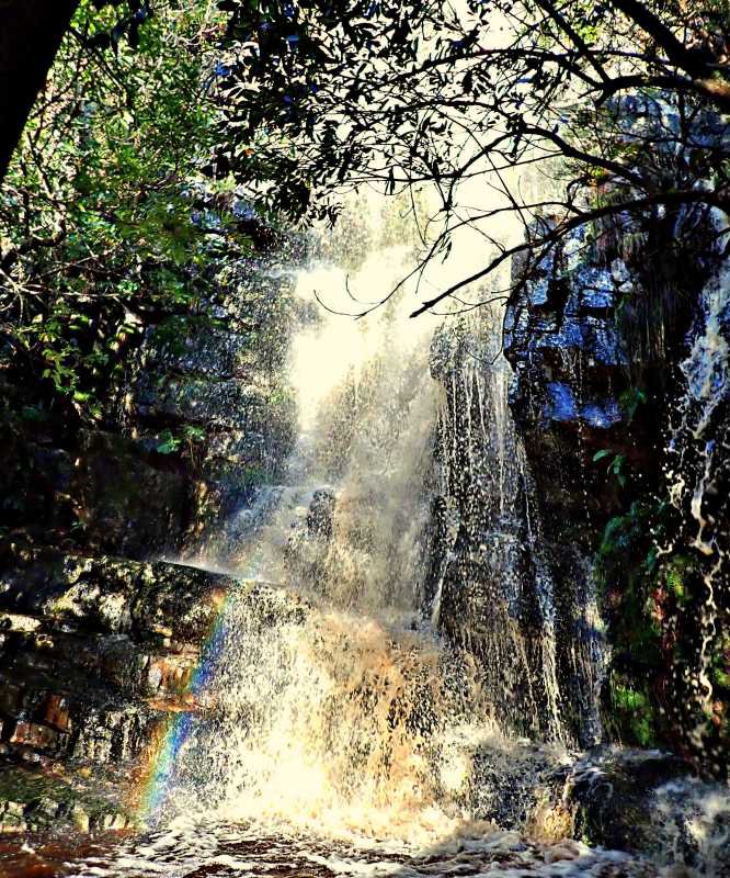 winter waterfall Table Mountain National Park 2024