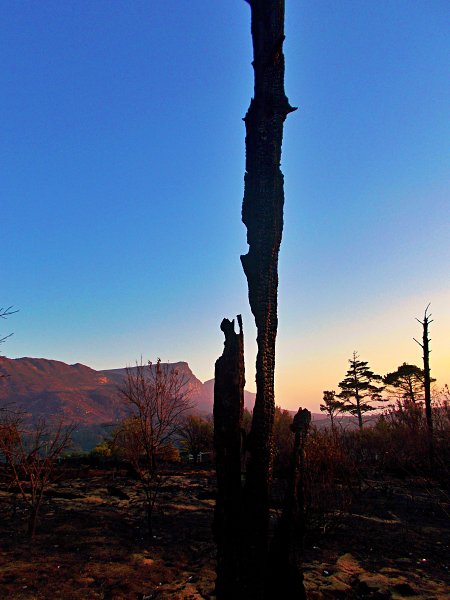 eastern flank of table mountain from fire-damaged hill