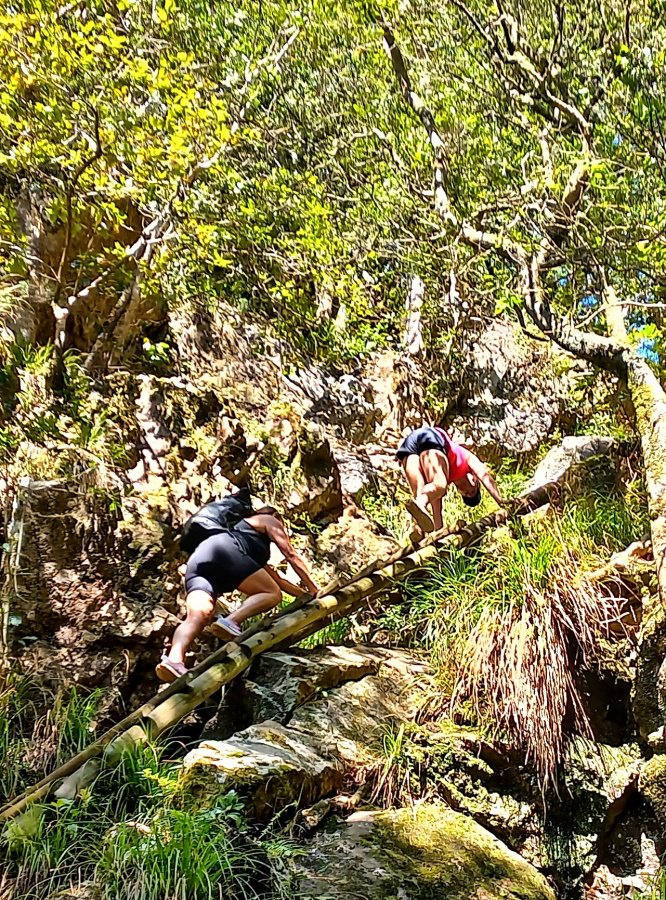 Skeleton Gorge Hike Table Mountain