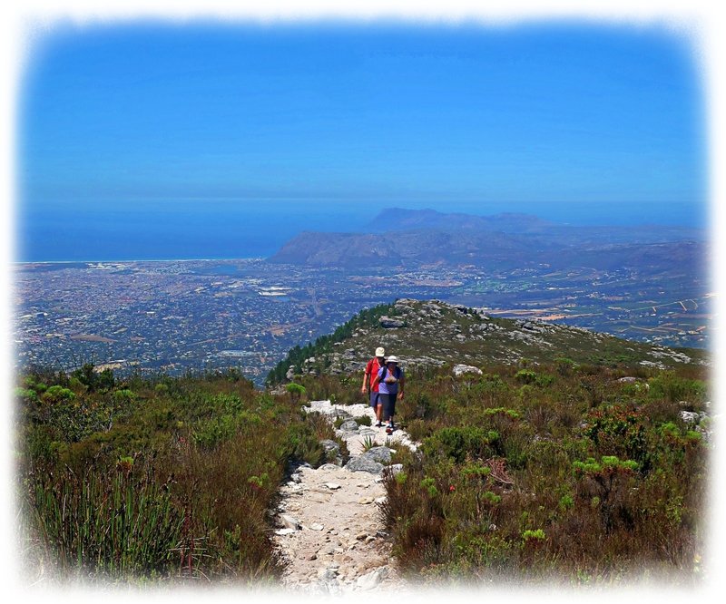 Silent hikes on cape town&#x27;s table mountain