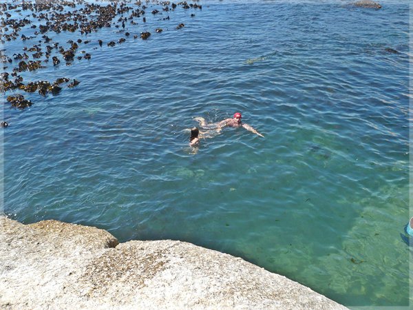 swimmers at Saunders Rock